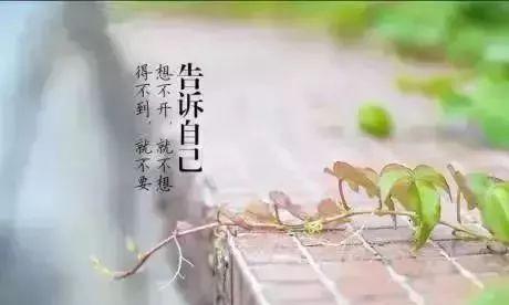 七月简短走心的句子好句有哪些？如何在日常生活中应用？
