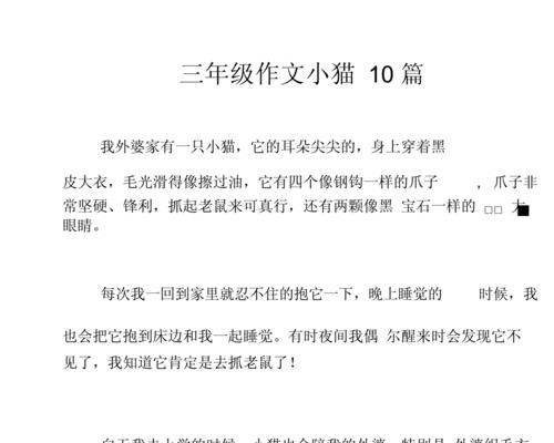 小猫咪的故事（一只可爱聪明的小家伙）