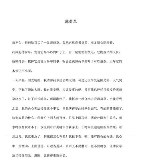 小草的奇妙之旅