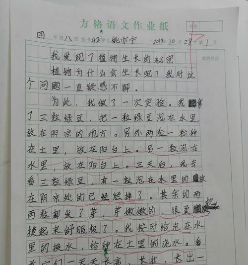 我的发现之旅（探索未知）