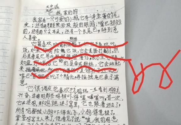 阿福和他的人类朋友（一只聪明的狗与他的主人之间的故事）