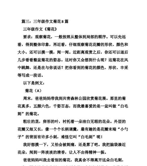 菊花的韵味——一场奇妙的旅程