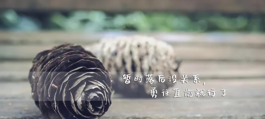 感恩之心励志向上——25个唯美句子