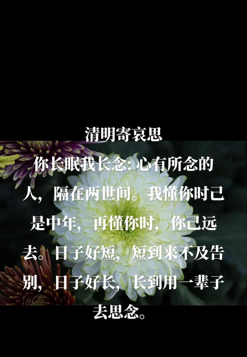 《魂归故里清明思》
