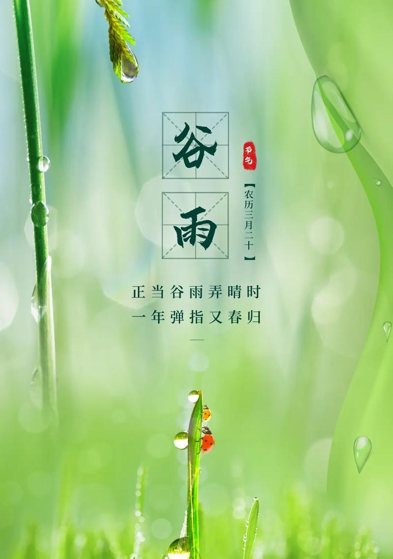 谷雨之后，春归何处？