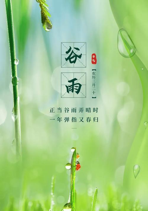 《雨润春归，谷雨浅吟》