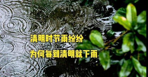 《清明细雨润物细无声》