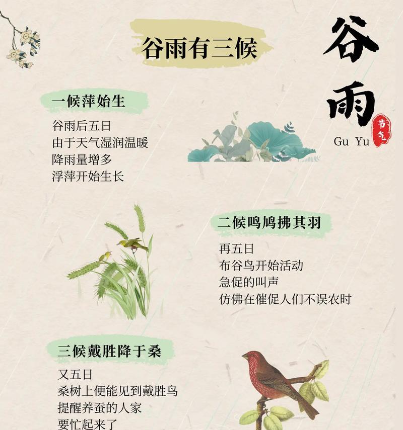 以跟节气有关的谷雨作文素材为话题的作文怎么写（《“爷爷，谷雨真的这么重要吗？”我好奇地问道，眼中闪烁着对知识的渴望。》）