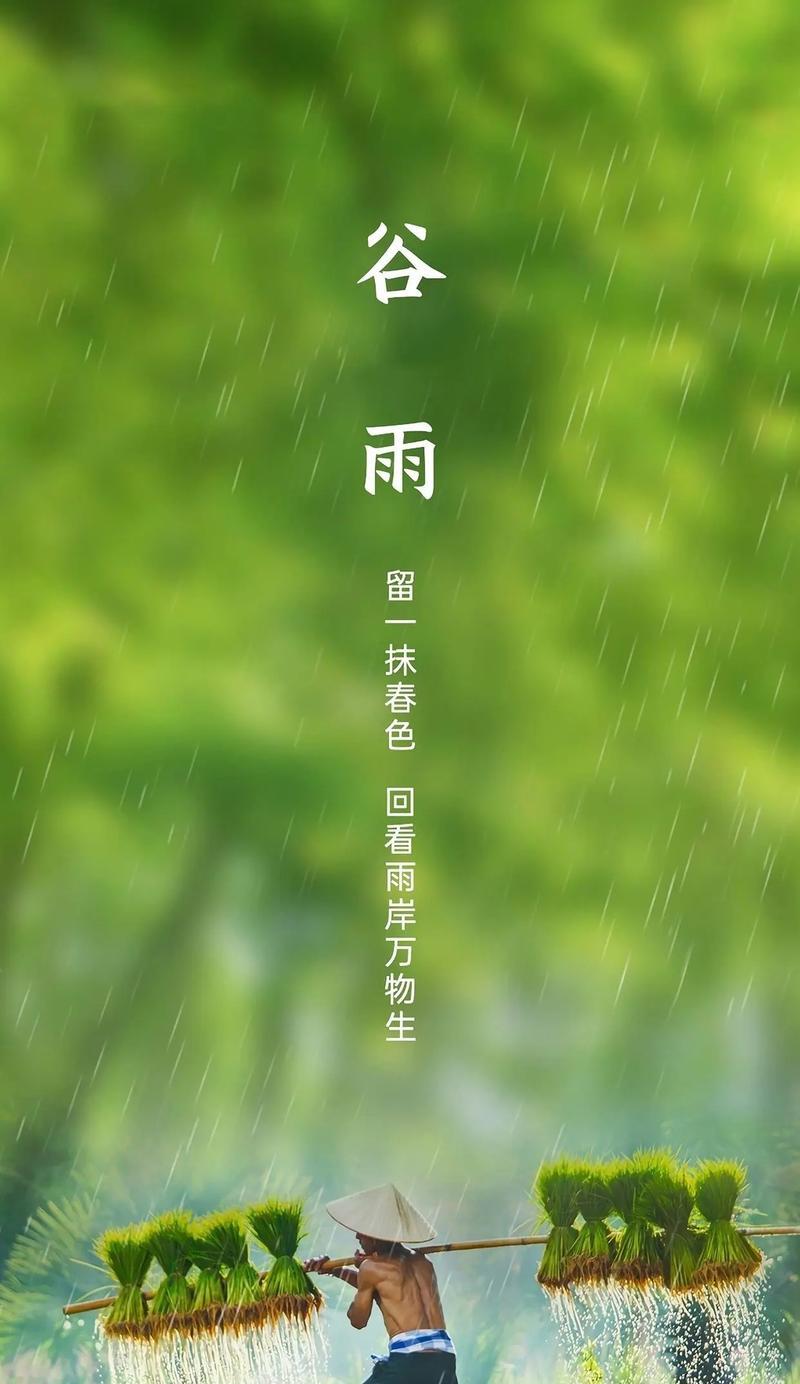 谷雨节气作文怎么写？（《谷雨时节，书声琅琅》）