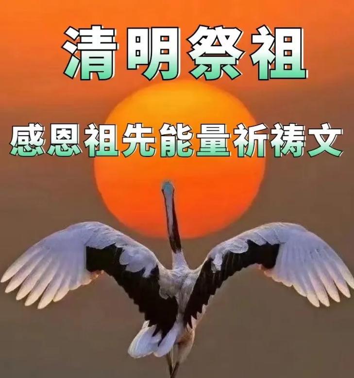 甘肃清明节祭祖短句好句有哪些？（《陇上清明：碧落黄泉话桑梓》）