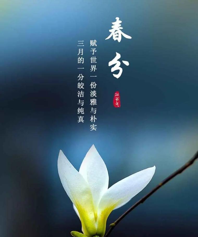 晴天春分句子好句有哪些？（《晴空下的分水岭：春分之舞》）