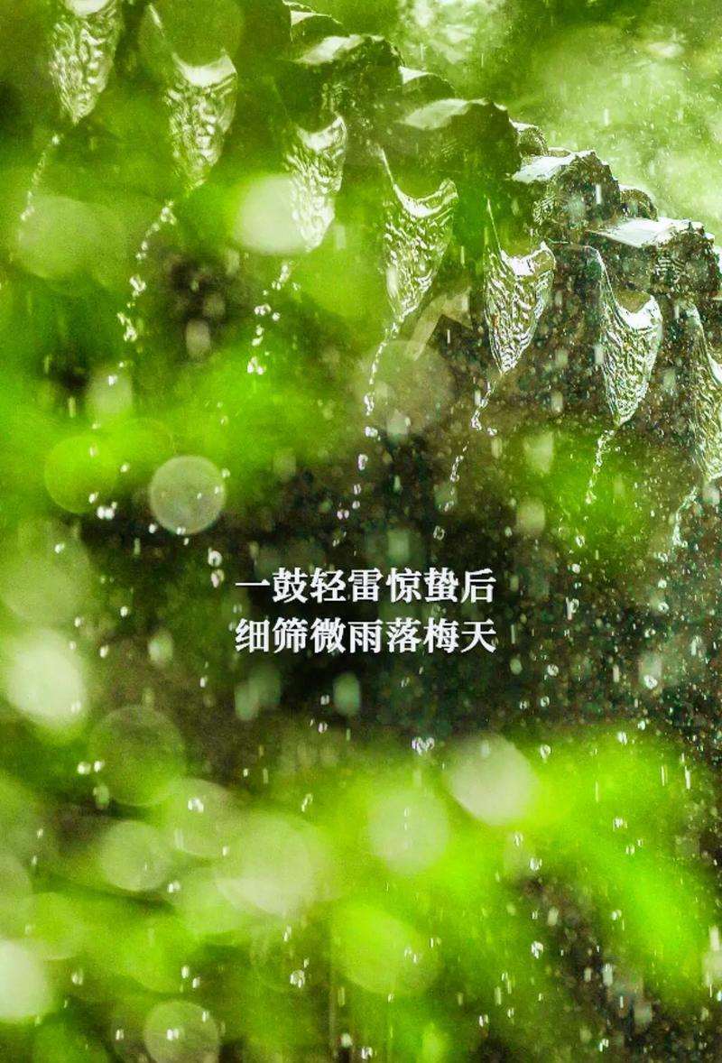 惊蛰谷雨是什么季节（《春之韵：惊蛰谷雨下的诗意流转》）