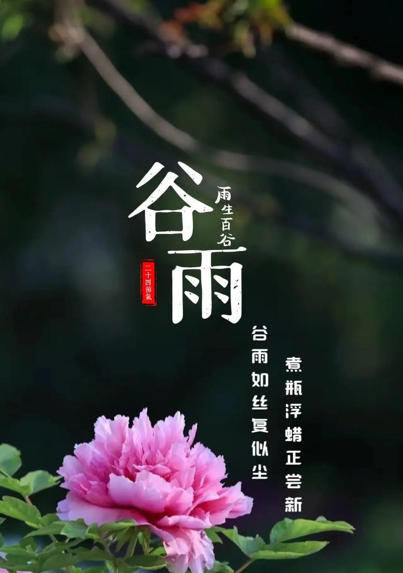 有关谷雨情景对话怎么写的语录的短句子（《谷雨润心田，细雨润如烟》）
