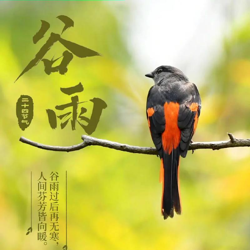 有关谷雨情颂党恩主题金句的句子怎么写（《润泽四时·颂党恩》）