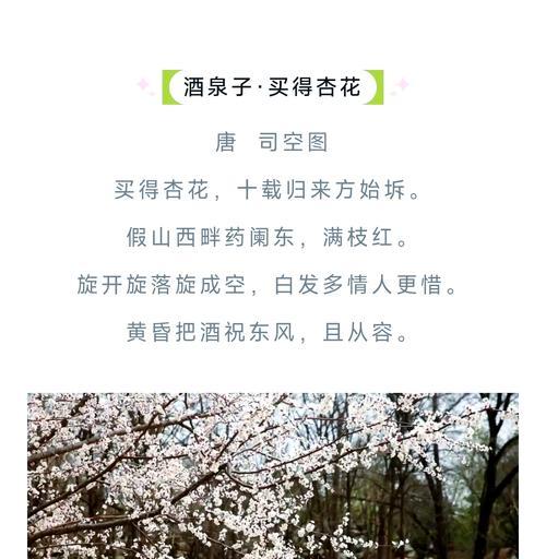 与杏花春雨有关的诗句（《杏花谷雨：古韵流芳》）