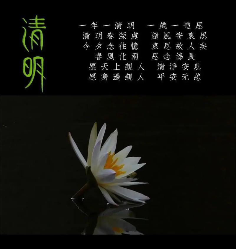 清明节追悼短句好句有哪些？（《清明追思：烟雨中的人间四月天》）