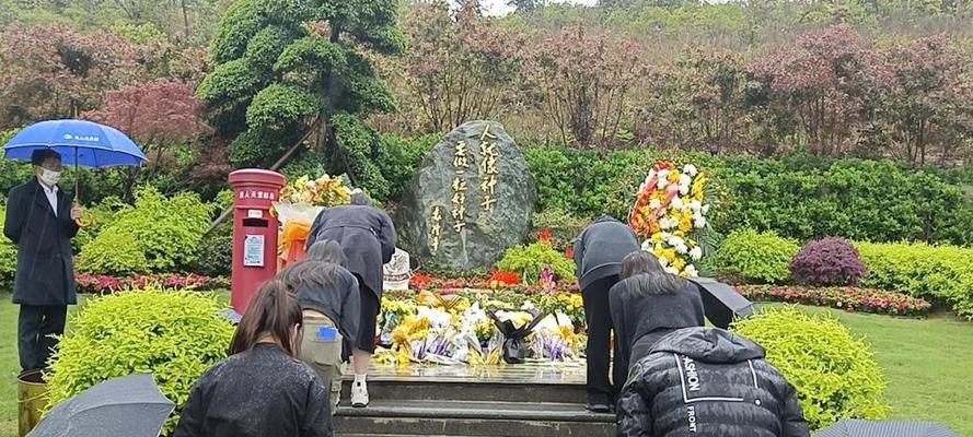 清明祭英烈袁隆平短句好句有哪些？（清风拂过稻田，缅怀袁公之德）