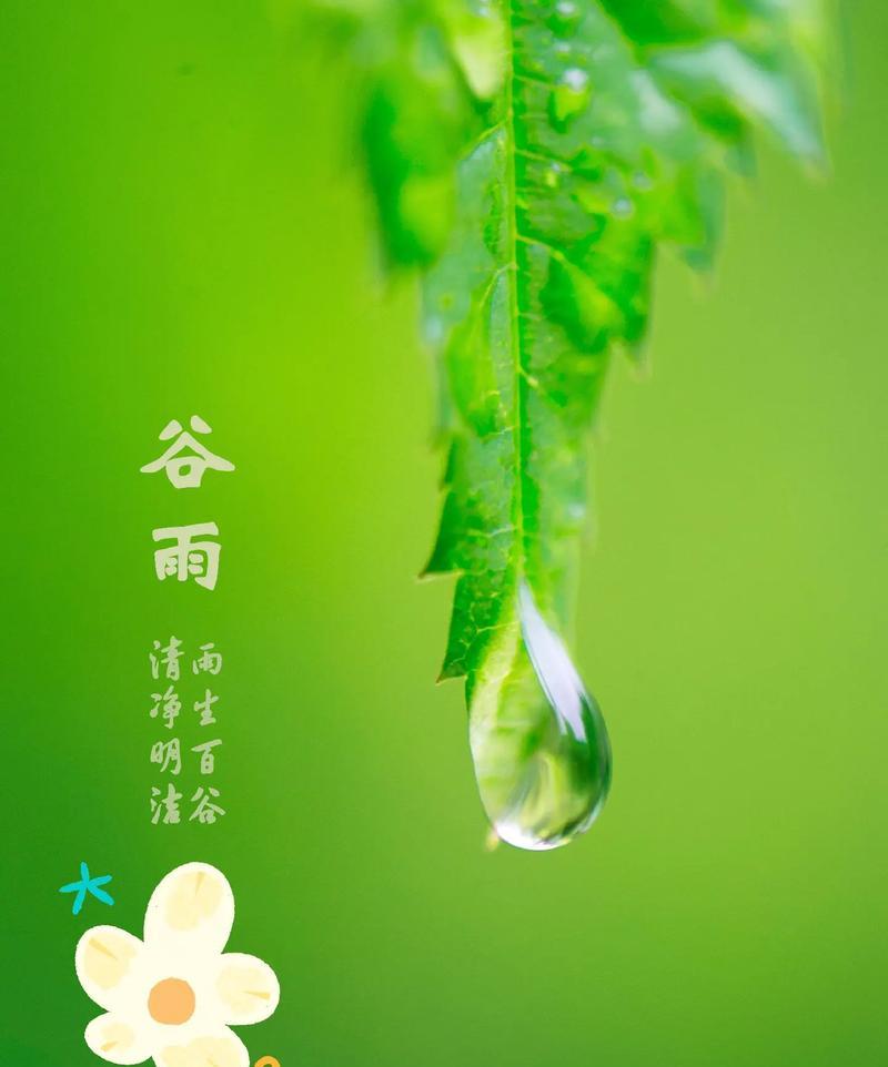 谷雨时节如何保持好心情？（《谷雨时节好心情：春归大地万般新》）