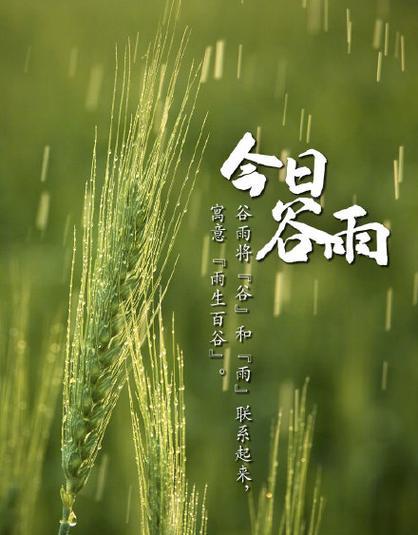 清明谷雨冻死老鼠说说好句是什么意思？（《清明谷雨，细雨润无声》）