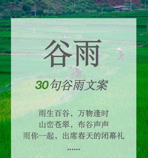 小学生谷雨摘抄好句有哪些？（谷雨润心，墨香传情）