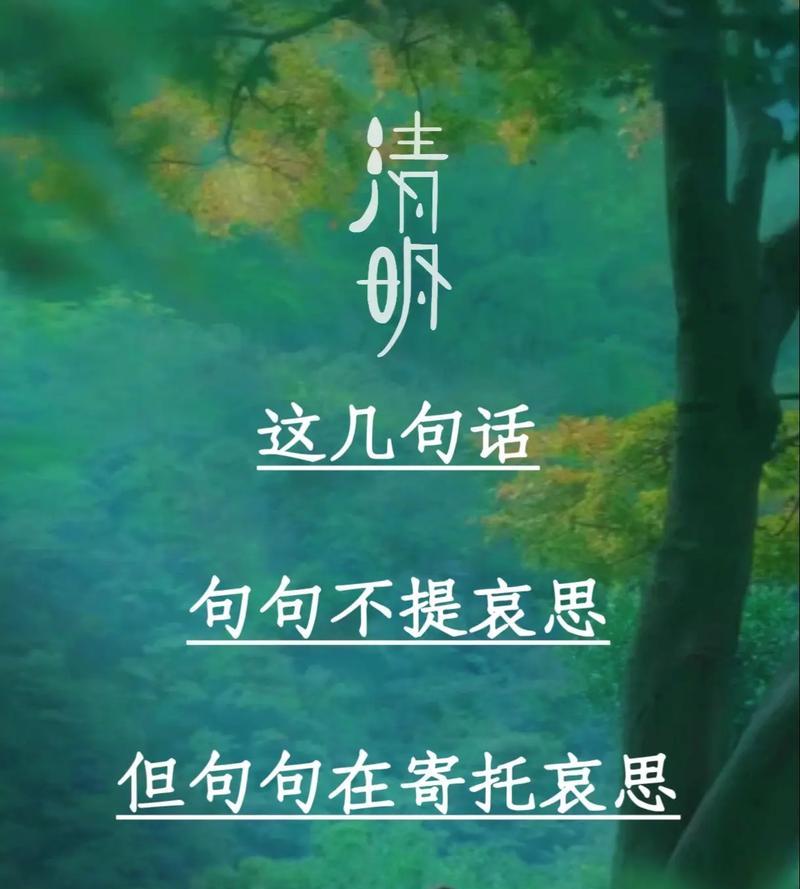 关于清明节的意思句子（《春风送暖，清明忆故人》）