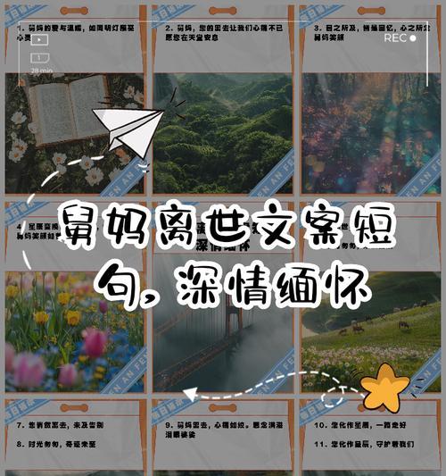 有关母亲节送舅妈文案短句的句子怎么写（《萱草生堂下）