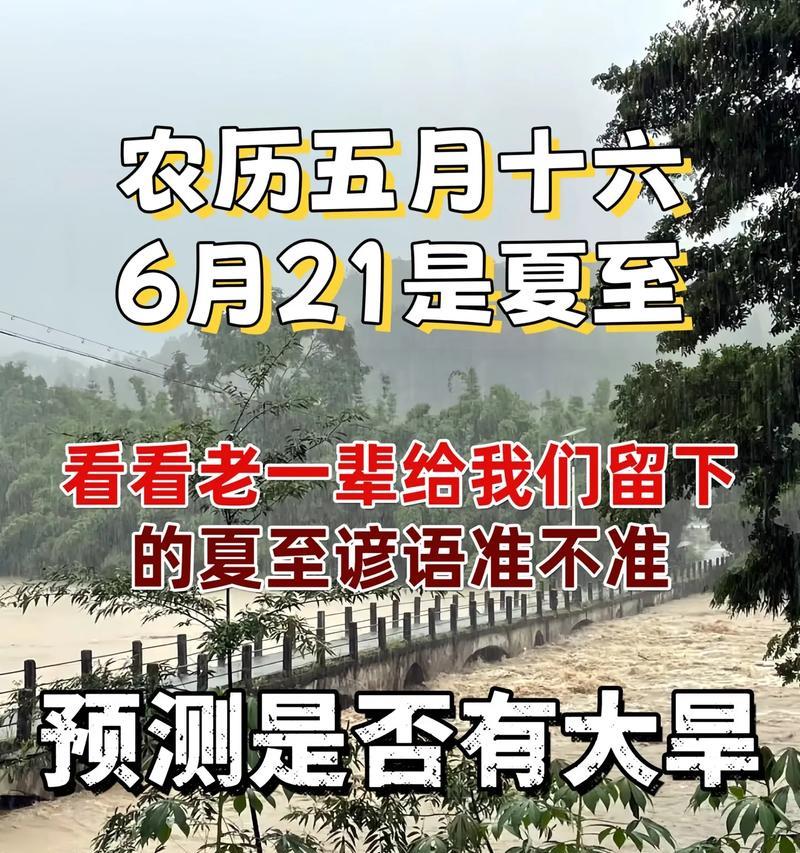 夏至农村优美句子有哪些？（《夏至至韵：田园牧歌》）