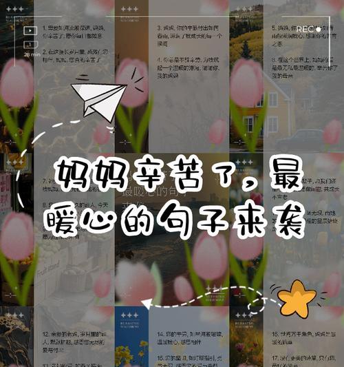 有关母亲节辛苦自己的句子的短句怎么写（《慈母手中线，游子身上衣》）