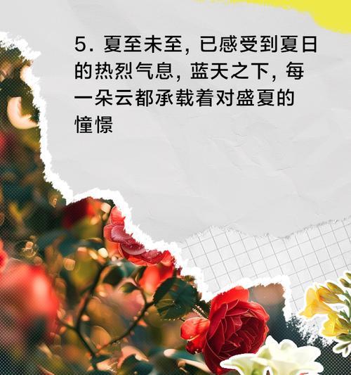 夏至未至含义深刻的话（《夏至未至，佳句如织》）