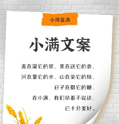 有关美好小满时节的句子怎么写的好句摘抄（《小满之美：闲云野鹤之诗篇》）