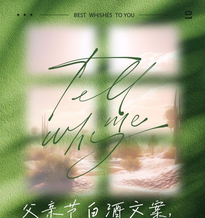 父亲节送什么酒好？（《酒香父恩长——古风父子情》）