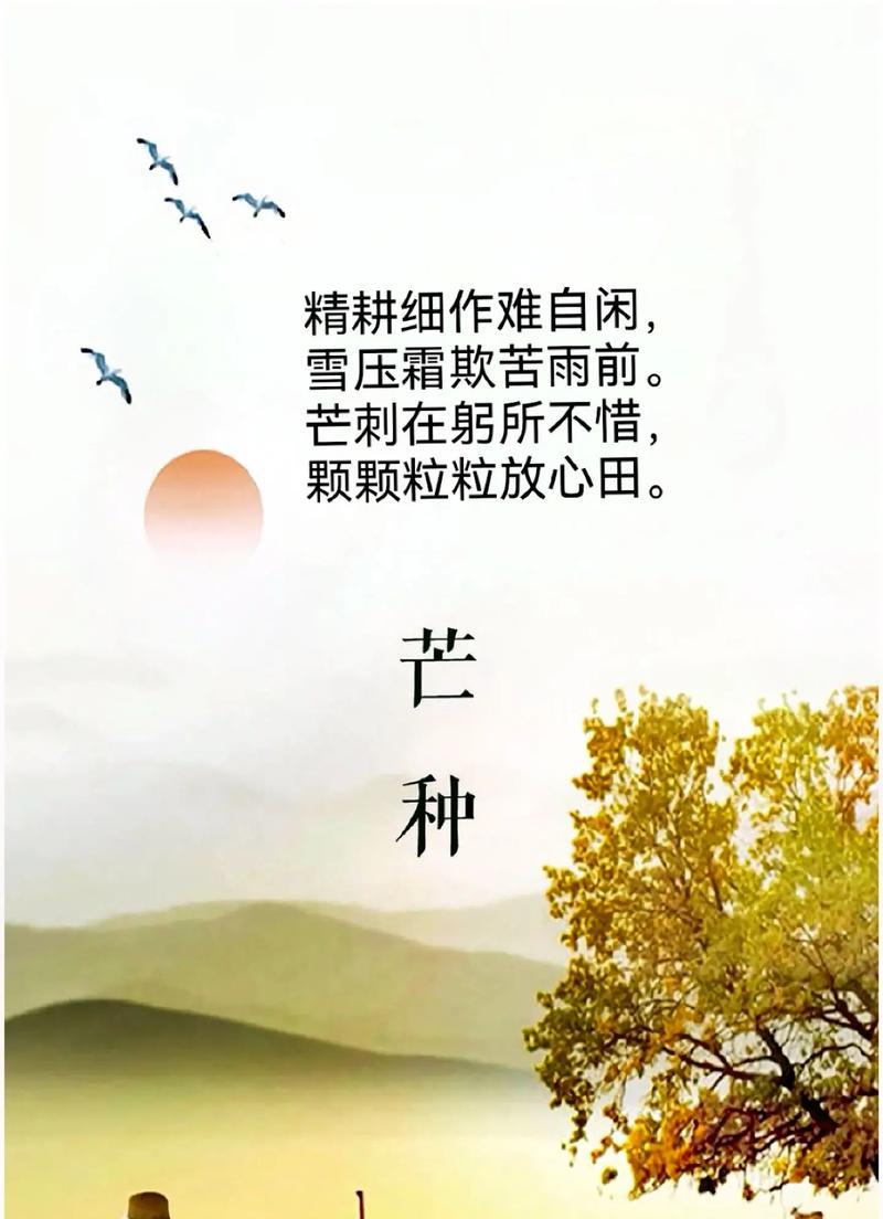 关于芒种的诗句(12条诗句)（《芒种时分，诗意盈夏》）