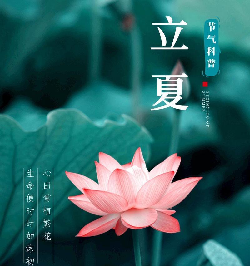 关于立夏的节气作文怎么写？（《立夏，诗意盎然的节气，也是青春的序章》）