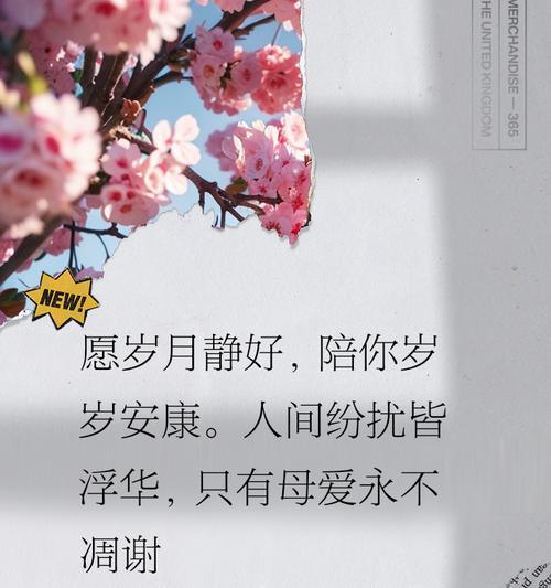 国风母亲节祝福语简短好句有哪些？（《母仪天下，春晖寸草情》）