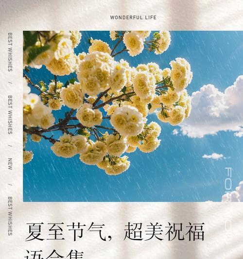 夏至祝福语有哪些？（夏至温风，悠悠古韵祝安康）