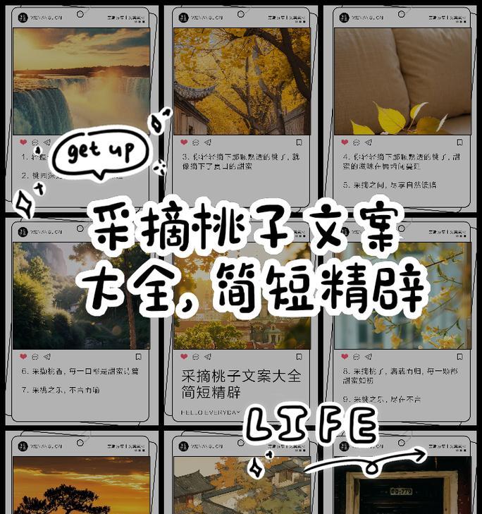 有关端午节摘桃子文案短句的短句怎么写（《桃香满径：端午摘桃之趣》）
