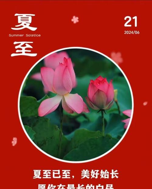 夏已至花盛开（《夏至花开：华章满园，香气四溢》）