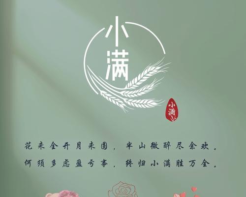 小满和荔枝文案句子好句怎么写？（《小满之荔枝：古风诗意满人间》）