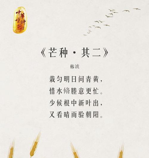 描写芒种的诗句或名言或成语（《芒种时节，稻田诗意浓》）