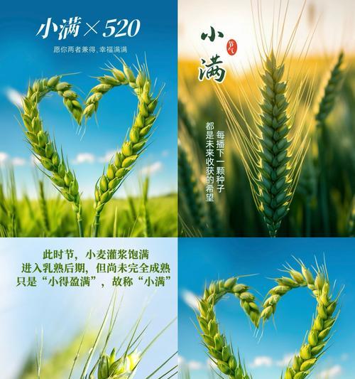 小满寓意语录（《小满时节，诗酒趁年华》）