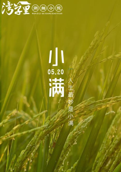 遇见小满是什么意思（满庭芳华，小满日生辉）