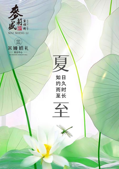 关于夏至荷花的诗句（《夏至荷香盛·古韵绘雅意》）