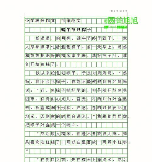 关于端午节的作文可以怎么写（《粽香飘逸，友情长存》）