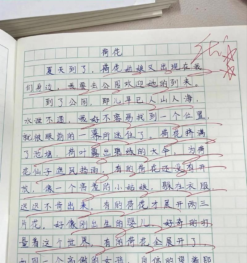 描述夏至荷花的诗句（《夏至荷塘边的欢声笑语》）
