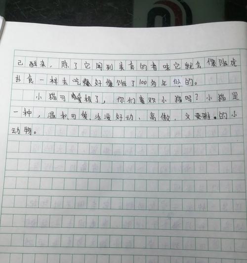 以作文夏至害怕老鼠的猫为话题的作文怎么写（《夏夜梦回：猫与夏至的恐慌》）