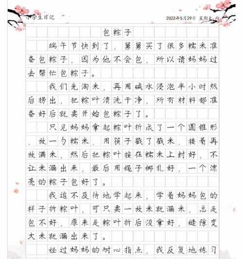 有关端午节作文二百字左右的作文怎么写（《粽香情深，端午情怀》）