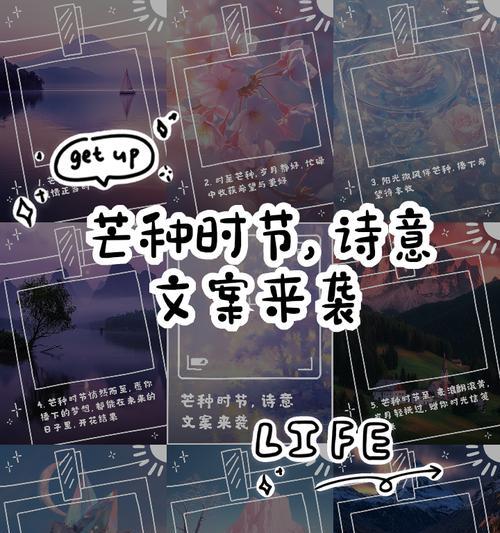 芒种经典诗句（《芒种时节，青春的篇章》）