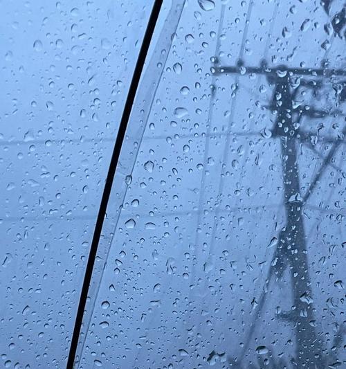 陪伴雨季的独白（陪伴雨季的独白）