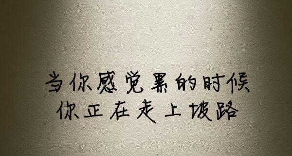 爱情美好句子，点亮心中的爱火（抖音爆红的浪漫情话）