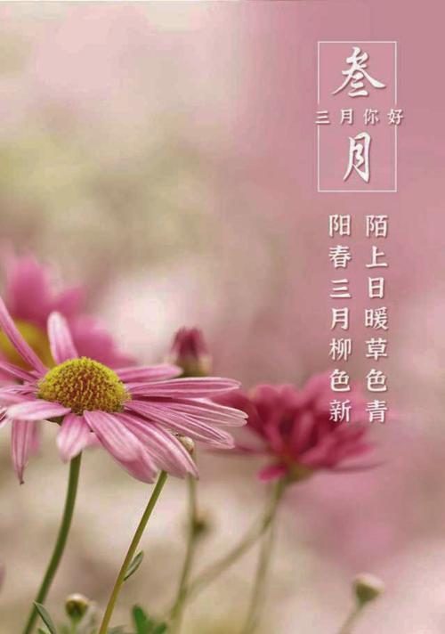 告别二月，迎接三月的正能量（唯美短句献上）